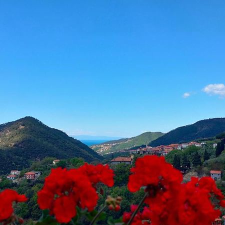 Camera Tra Le Cinque Terre, Camogli E Portofino. Vista Valle E Scorcio Mare All'Orizzonte Castiglione Chiavarese Eksteriør billede