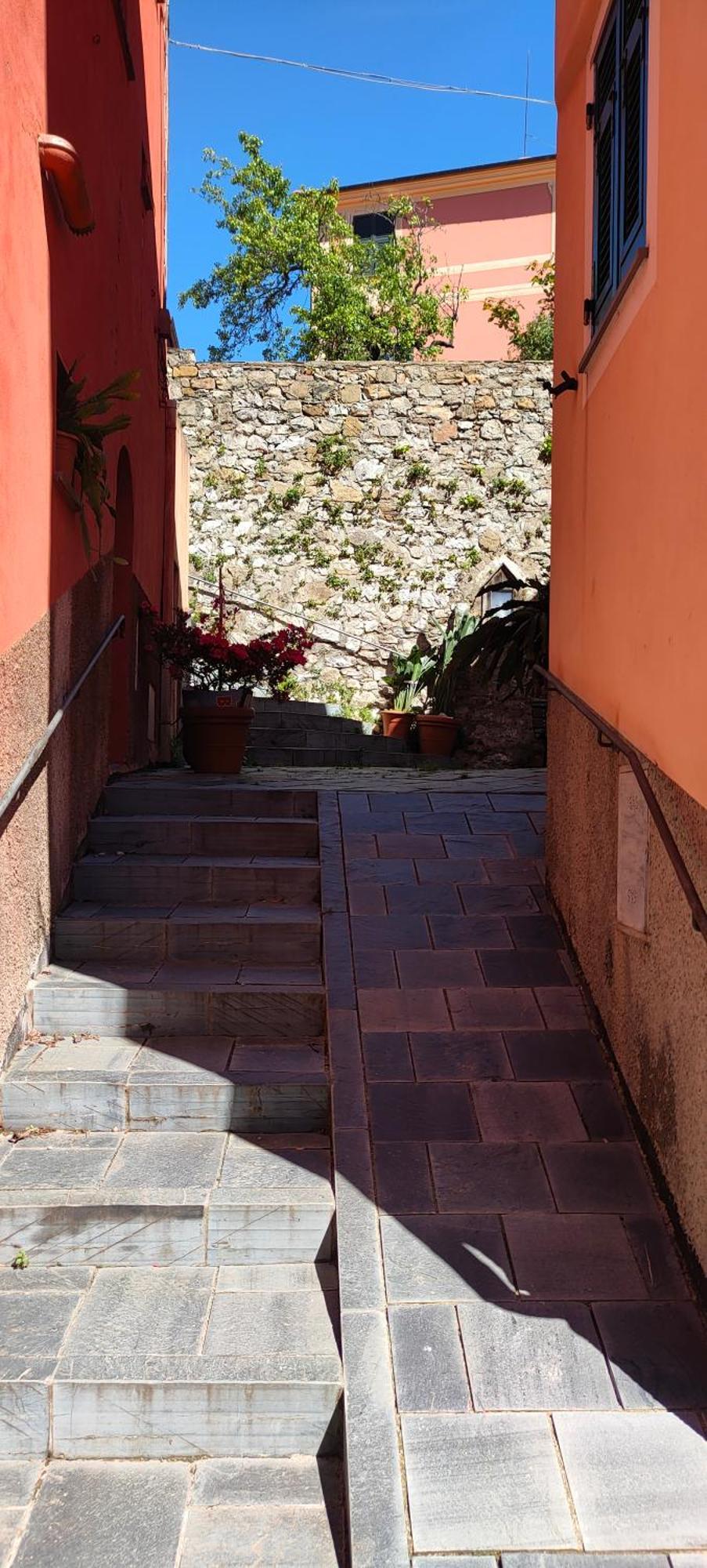 Camera Tra Le Cinque Terre, Camogli E Portofino. Vista Valle E Scorcio Mare All'Orizzonte Castiglione Chiavarese Eksteriør billede