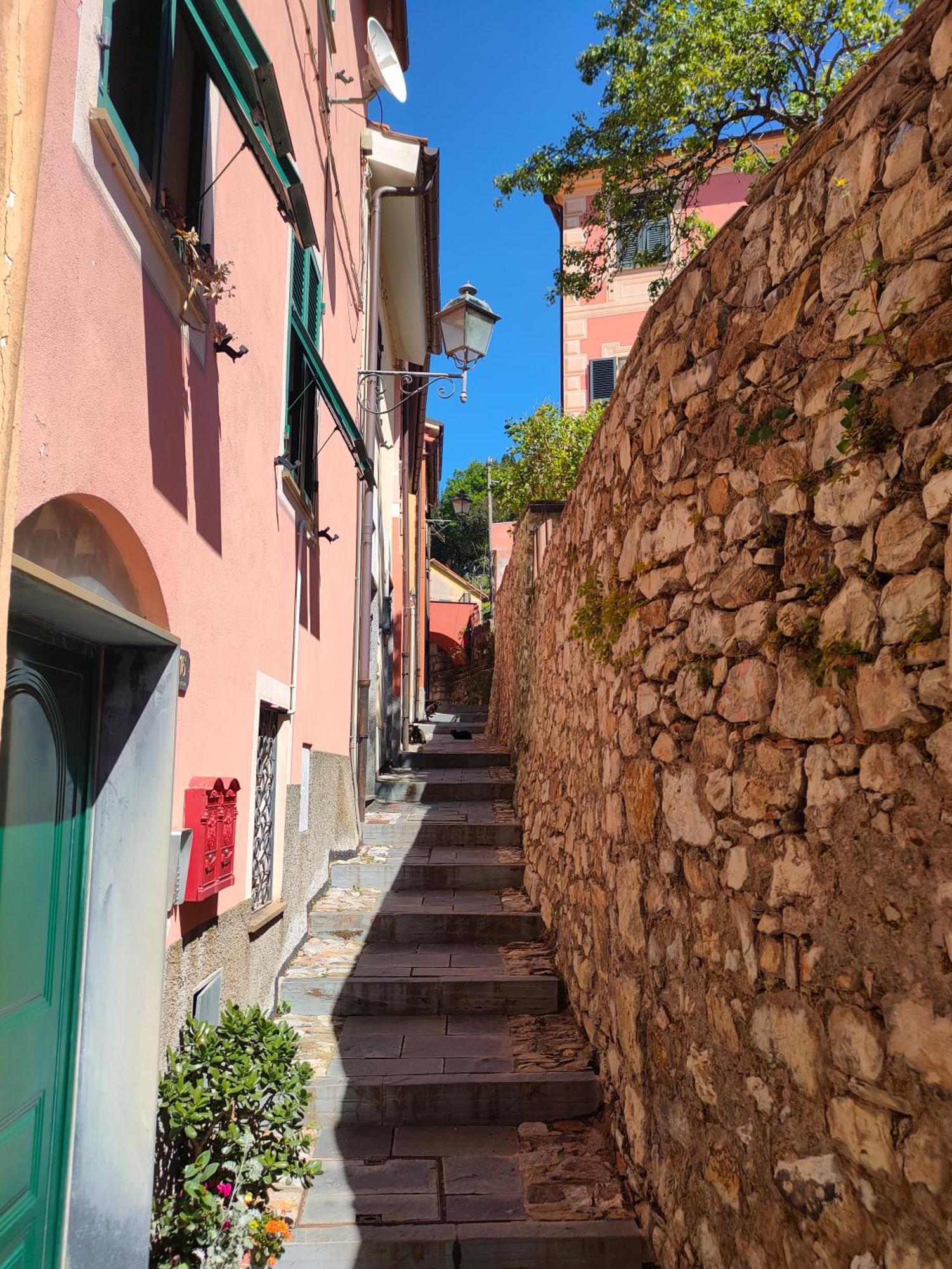Camera Tra Le Cinque Terre, Camogli E Portofino. Vista Valle E Scorcio Mare All'Orizzonte Castiglione Chiavarese Eksteriør billede