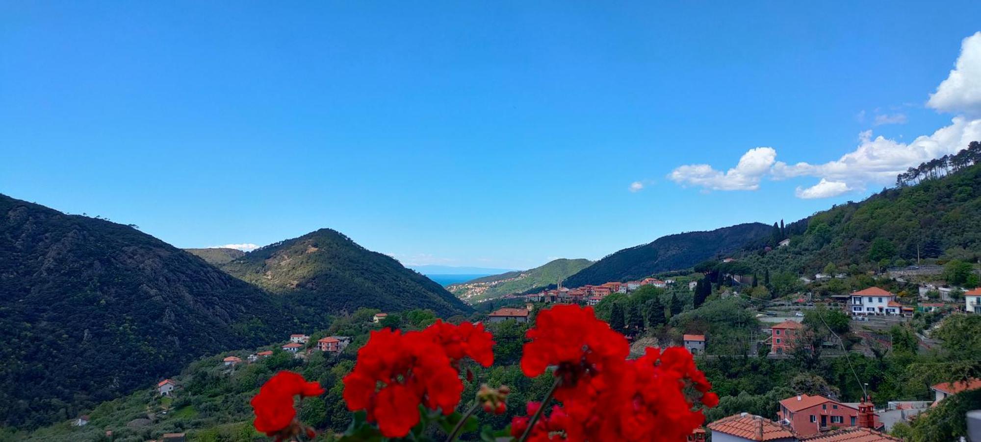 Camera Tra Le Cinque Terre, Camogli E Portofino. Vista Valle E Scorcio Mare All'Orizzonte Castiglione Chiavarese Eksteriør billede